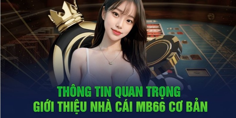 Trò chơi Sic Bo dành cho người mới bắt đầu (Kim88) - Kim88