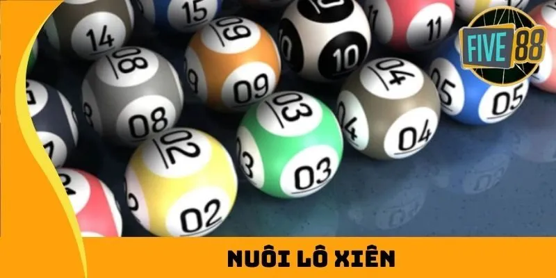 Liên kết đến trang web trực tuyến được xếp hạng Ds99 đã được cập nhật và không còn bị chặn nữa - Ds99