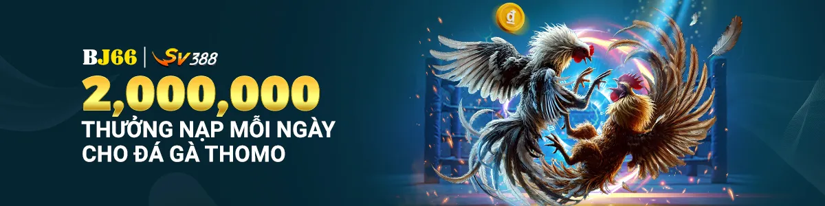 Hãy cùng tìm hiểu về các trò chơi bài cấp độ 8Kbet - 8Kbet
