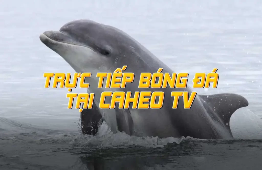 Hướng dẫn đăng ký Bj88 King - Bj88
