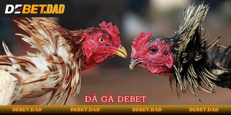 Tìm hiểu cách nạp và rút tiền bằng thẻ Subet chỉ với vài bước đơn giản - Subet