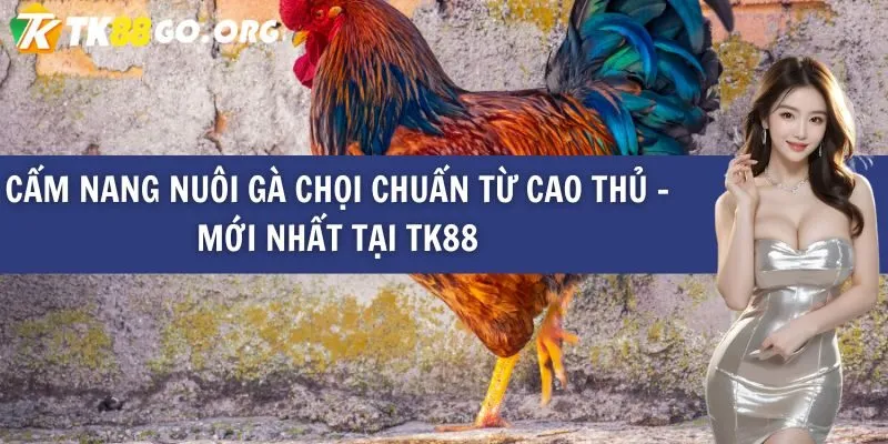 Lý do đặt tỷ lệ cược cho các trận đấu bóng đá cấp độ 84Win - 84Win
