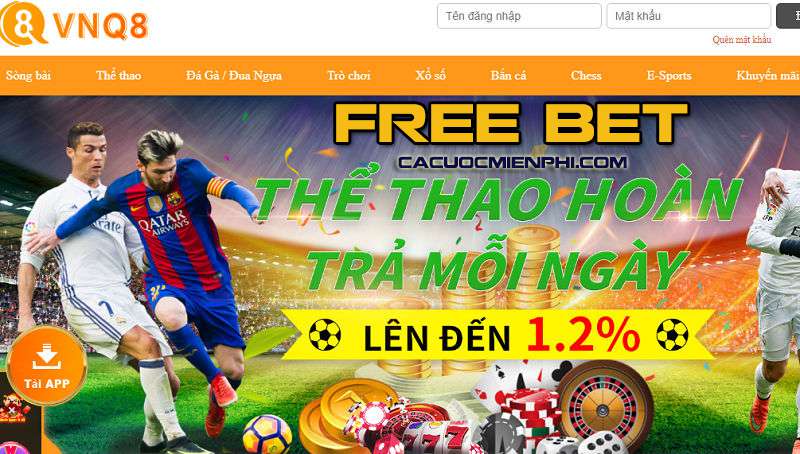 Quy định của Công ty Vt999 Games về thời gian diễn ra các trận đấu thể thao - Vt999