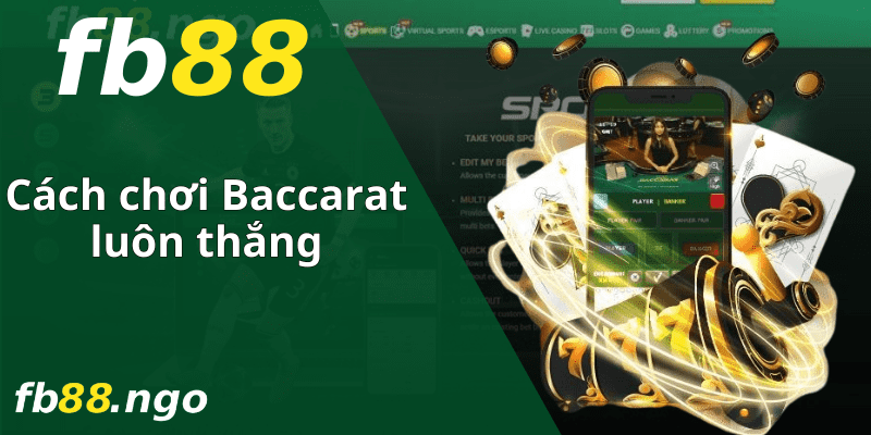Thoát khỏi nền tảng K29 - K29