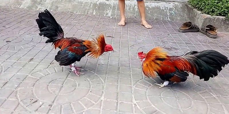 Những lợi thế chính của các trang web chơi game cấp độ Nbet88 - Nbet88