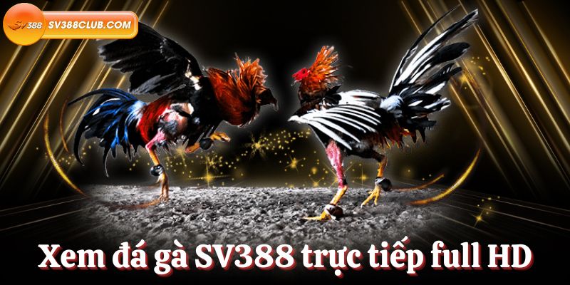 Bộ sưu tập game phong phú từ các nhà phát hành được xếp hạng Hr99 - Hr99