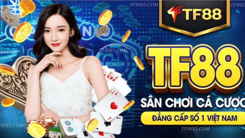 Những người chơi giàu kinh nghiệm chia sẻ mẹo chơi các trò chơi bài cấp độ 24N - 24N