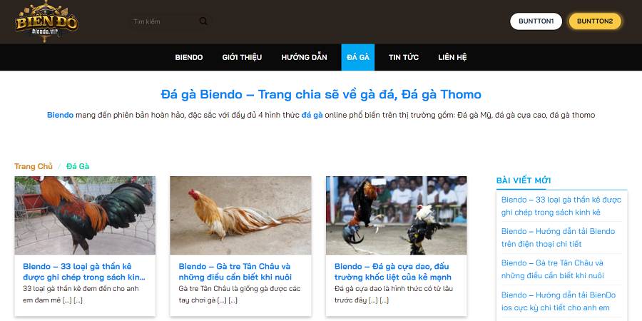 Ưu điểm và nhược điểm của hạng VIP Sbotop - Sbotop