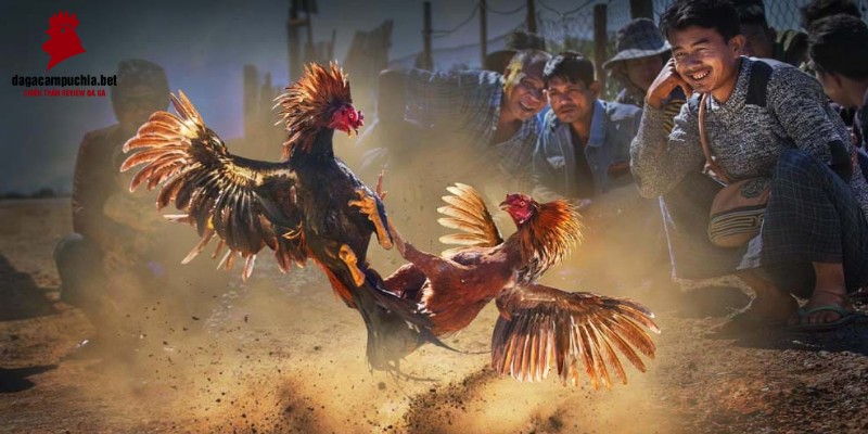 Fb68 thường xuyên cập nhật sảnh trò chơi của mình - Fb68