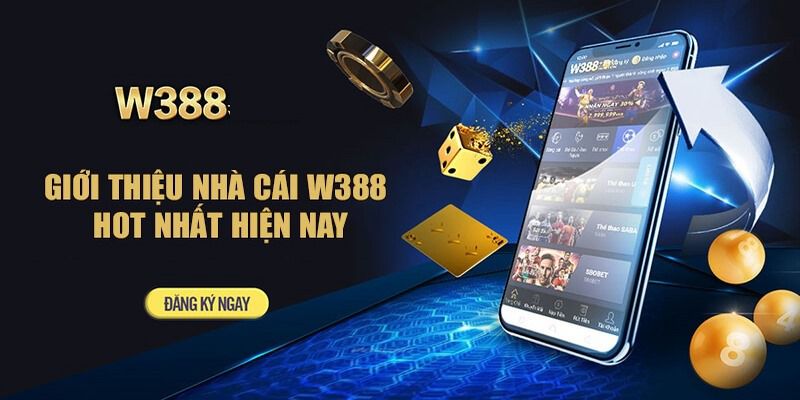 Những điều quan trọng cần nhớ khi nhận thông tin khuyến mãi cấp 9Dbet - 9Dbet