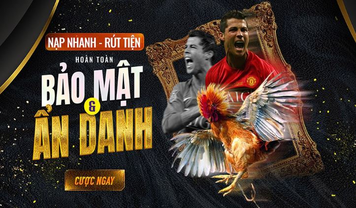 Đăng ký thành viên mới Bj88 - Bj88