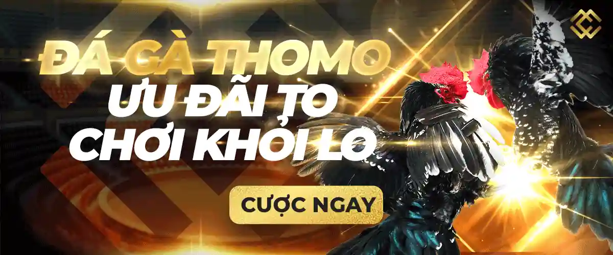 Các trò chơi trực tuyến cấp độ C54 cung cấp nhiều thể loại game phổ biến - C54