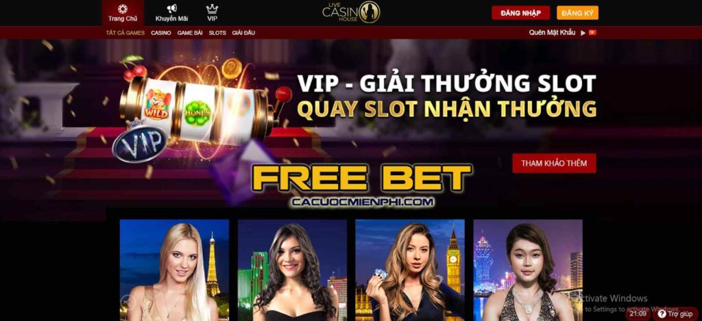 Pkvip cung cấp cái nhìn tổng quan toàn diện về tin tức bóng đá - Pkvip