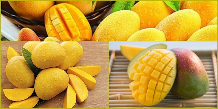 Nhà xuất bản Vesovn đã tiến hành quảng cáo rầm rộ - Vesovn