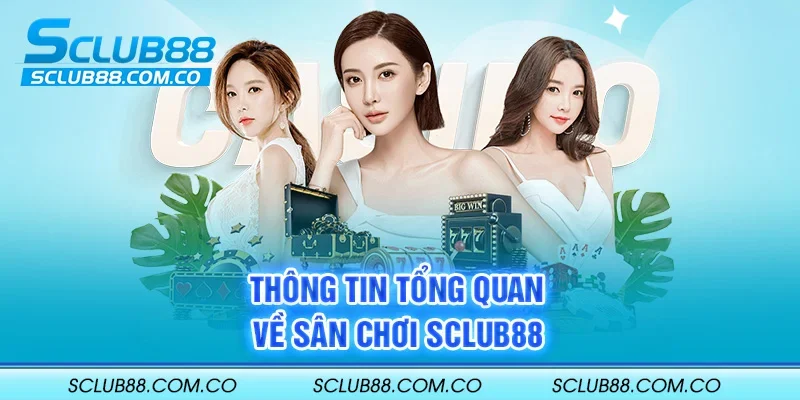 Nạp và rút tiền 100Win - 100Win