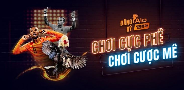 Khách hàng tham gia khảo sát thường xuyên hỏi về xếp hạng Gwin - Gwin