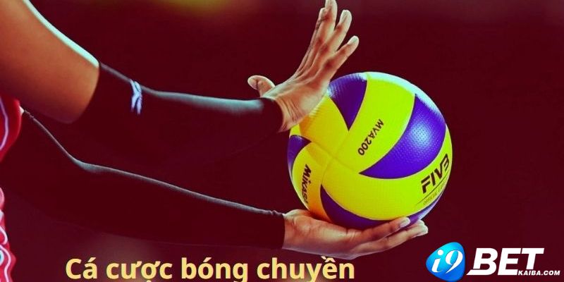 V6bet Pakistan BOOKER cũng ở cùng đẳng cấp - V6bet